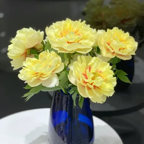 🌺A RAINHA DAS FLORES — PIANO DE PÉTALAS DUPLAS certo