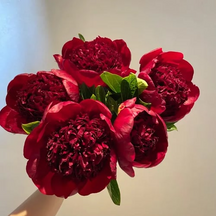 🌺A RAINHA DAS FLORES — PIANO DE PÉTALAS DUPLAS certo